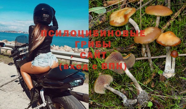 амф Балабаново